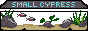 smallcypress